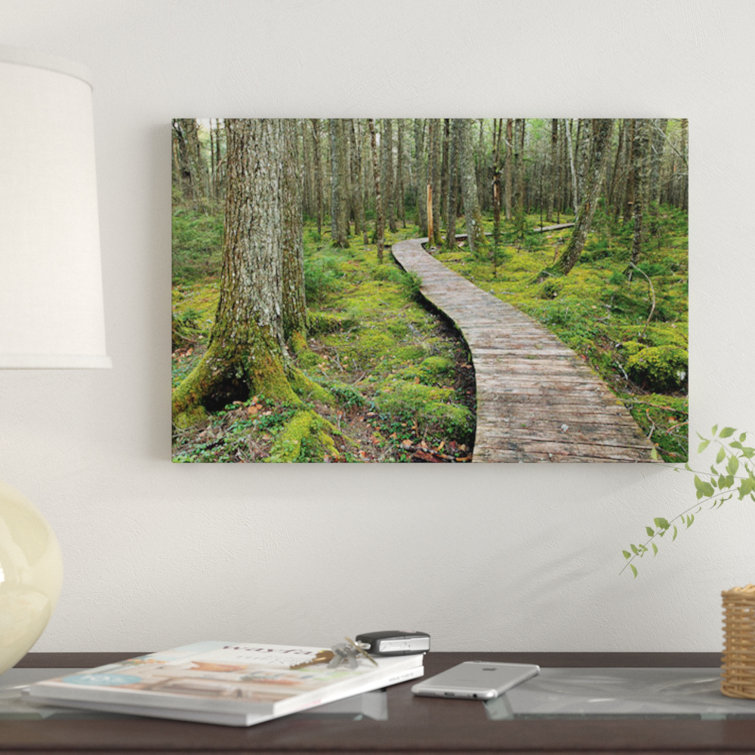 East Urban Home Canadian Hemlock Grove With Boardwalk, Kejimkujik National Park, Nova Scotia
